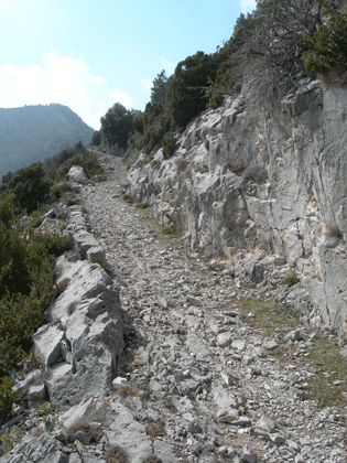 Camin que pua devèrs lo Còl Sant Miquèu