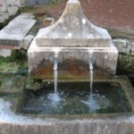 DSCN5036.jpg