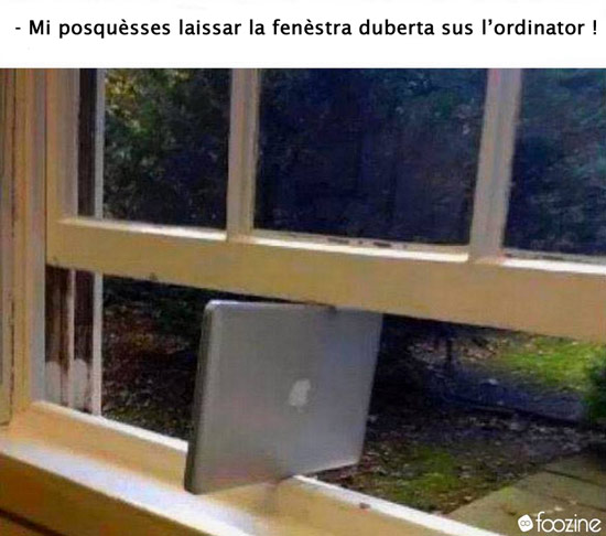 fenestra1.jpg