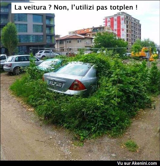 voiture_.jpg