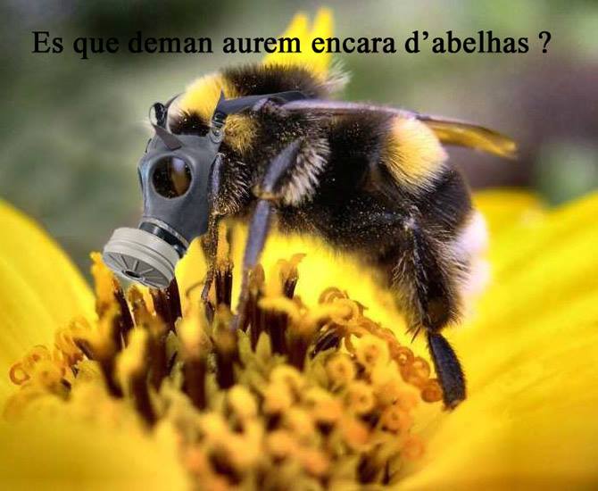 abeille_.jpg