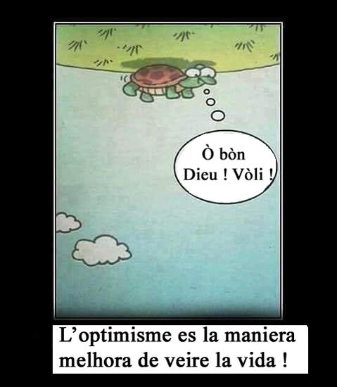 tortue.jpg