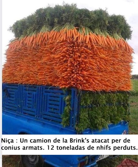 carottes_.jpg