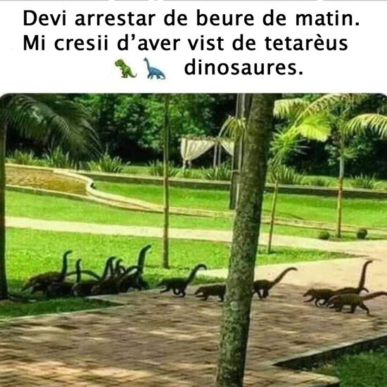 dinosaures_.jpg