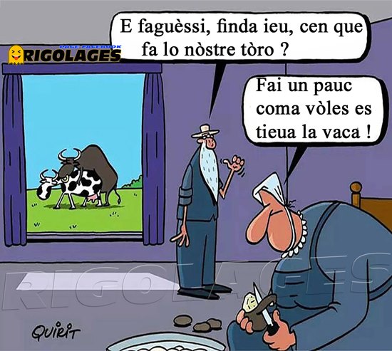 vache_-3.jpg