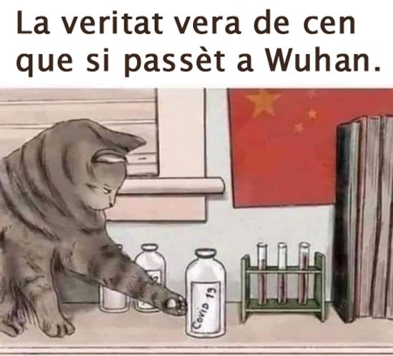 wuhan_.jpg