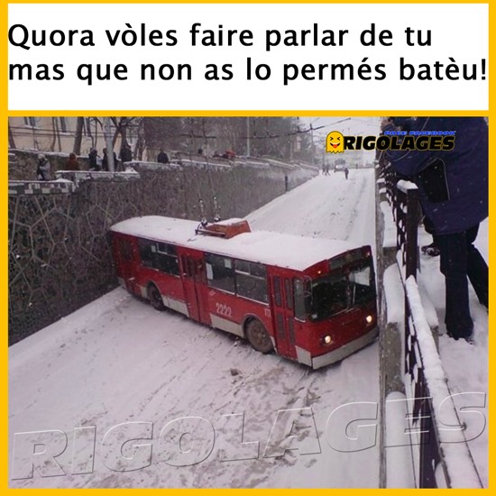 bus_-3.jpg