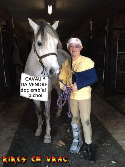 cheval_.jpg