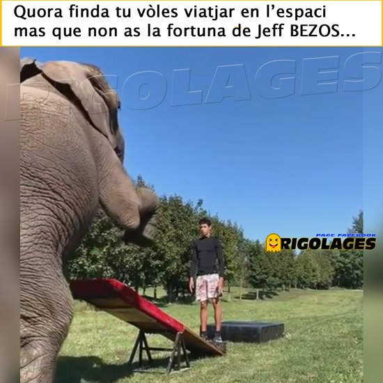 elephant_.jpg