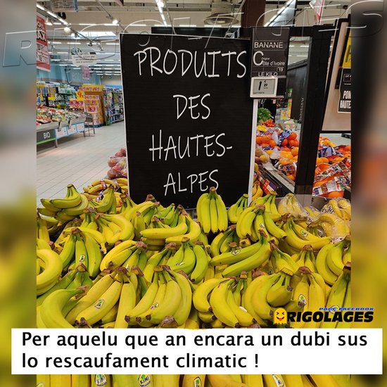 bananes.jpg