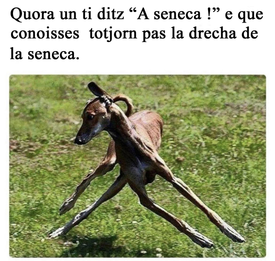 biche_.jpg